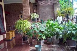 Rumah Luxury Modern Siap Huni di Bintaro Tangerang Selatan Rumah Luxury Modern Siap Huni di Bintaro Tangerang Selatan