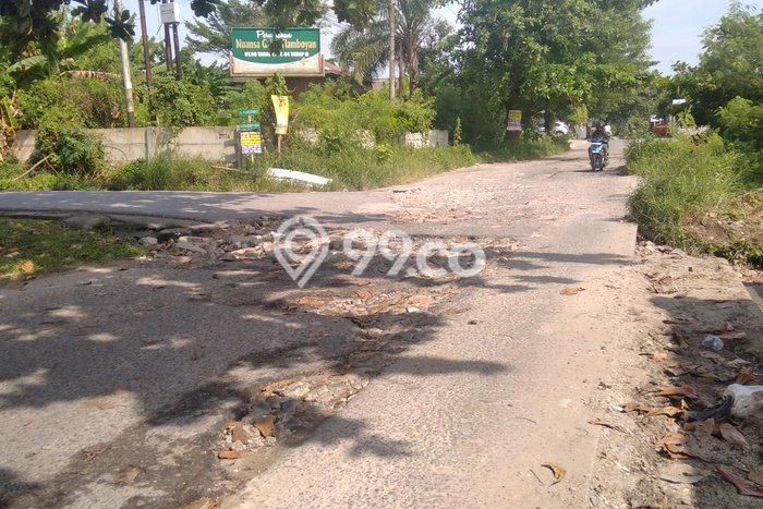 Tanah di Area Jl. Flamboyan, Delima, Pekanbaru Tanah di Area Jl. Flamboyan, Delima, Pekanbaru