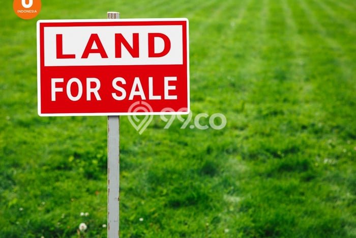 Kavling Tanah Dijual di Balongpanggang Gresik Spesifikasi 7332m2 Kavling Tanah Dijual di Balongpanggang Gresik Spesifikasi 7332m2