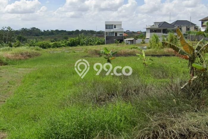 Tanah Dijual di Badung Seluas 360m2 Strategis Tanah Dijual di Badung Seluas 360m2 Strategis
