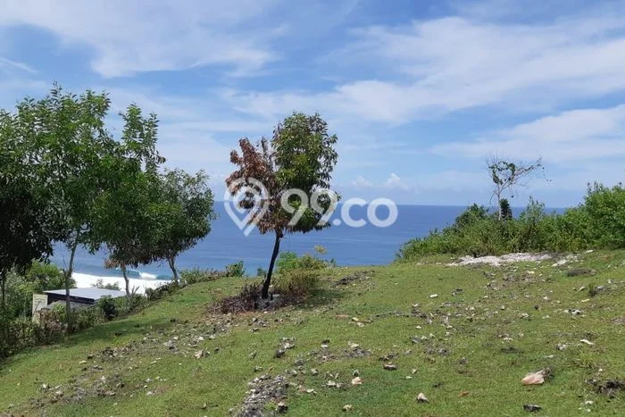 Kavling Tanah untuk Disewa di Ungasan Lahan Luas 4927m2 Kavling Tanah untuk Disewa di Ungasan Lahan Luas 4927m2