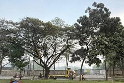 Kavling Tanah di Tigaraksa Dijual Luas 75000m2 Legalitas SHM Kavling Tanah di Tigaraksa Dijual Luas 75000m2 Legalitas SHM