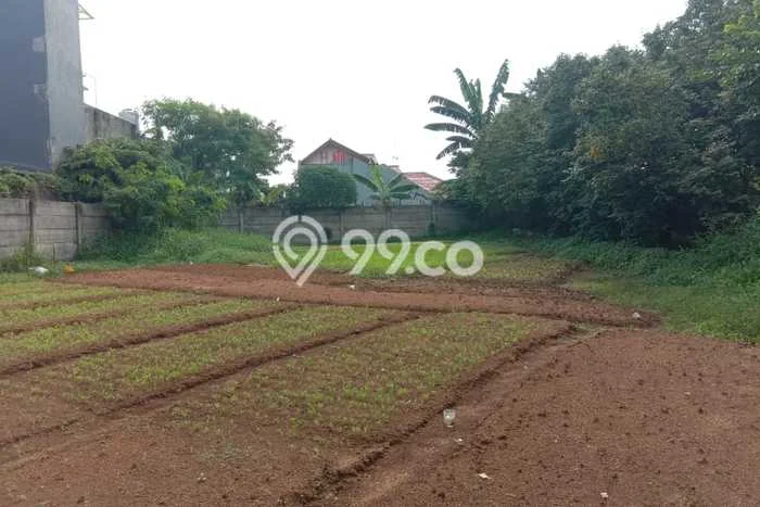 Tanah di Pancoran Mas, Depok Luas 1500m2 Dijual Segera Tanah di Pancoran Mas, Depok Luas 1500m2 Dijual Segera
