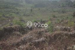 Tanah Dijual Lokasi Gunem, Rembang Luas 12057m2 Legalitas Aman Tanah Dijual Lokasi Gunem, Rembang Luas 12057m2 Legalitas Aman
