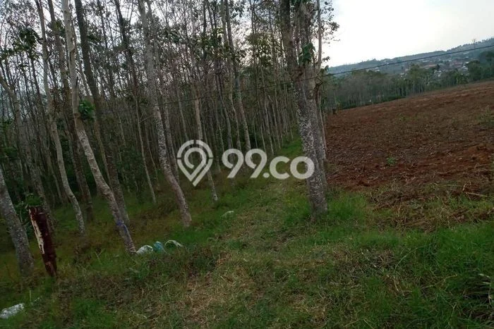 Lahan Strategis di Garut Kota Dijual dengan Luas 35000m2 Lahan Strategis di Garut Kota Dijual dengan Luas 35000m2