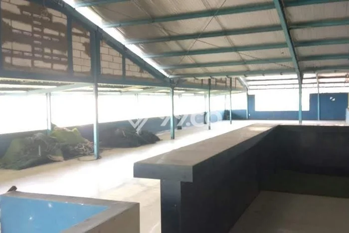 Area Strategis! Disewakan Gudang Lokasi Semarang Barat, Semarang Cocok untuk Bisnis Area Strategis! Disewakan Gudang Lokasi Semarang Barat, Semarang Cocok untuk Bisnis