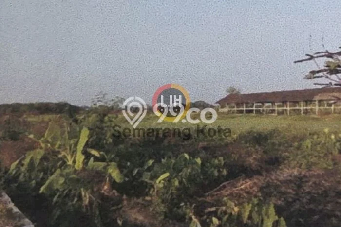 Tanah untuk Dijual di Polanharjo Klaten Luas 45230m2 Tanah untuk Dijual di Polanharjo Klaten Luas 45230m2