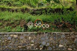 Tanah Dijual Lokasi Gajah Mungkur, Semarang dengan Luas Tanah 405m2 dan Status SHM Tanah Dijual Lokasi Gajah Mungkur, Semarang dengan Luas Tanah 405m2 dan Status SHM