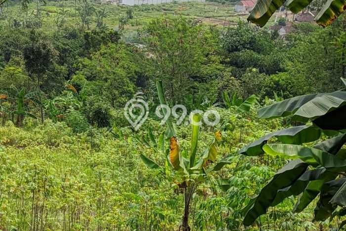 Tanah Kavling di Cibadak Dijual dengan Luas 10m2 Tanah Kavling di Cibadak Dijual dengan Luas 10m2