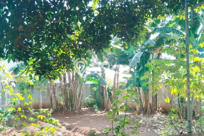 Tanah Kavling untuk Dijual di Cimanggis Depok 239m2 Tanah Kavling untuk Dijual di Cimanggis Depok 239m2