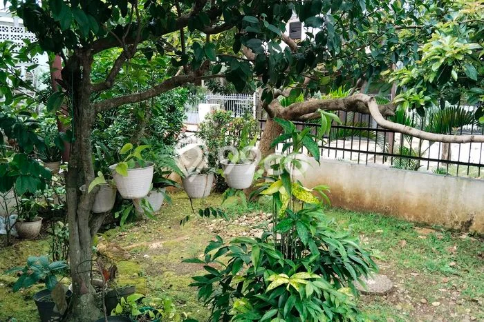 Kavling Tanah di Beji Dijual Luas 106m2 Legalitas SHM Kavling Tanah di Beji Dijual Luas 106m2 Legalitas SHM