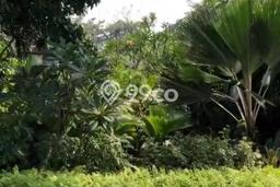 Tanah di Kembangan, Jakarta Barat Luas 250m2 Dijual Segera Tanah di Kembangan, Jakarta Barat Luas 250m2 Dijual Segera