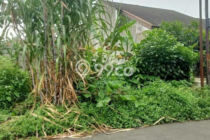 Untuk Dijual Tanah 300m2 di Pakuan, Bogor Untuk Dijual Tanah 300m2 di Pakuan, Bogor