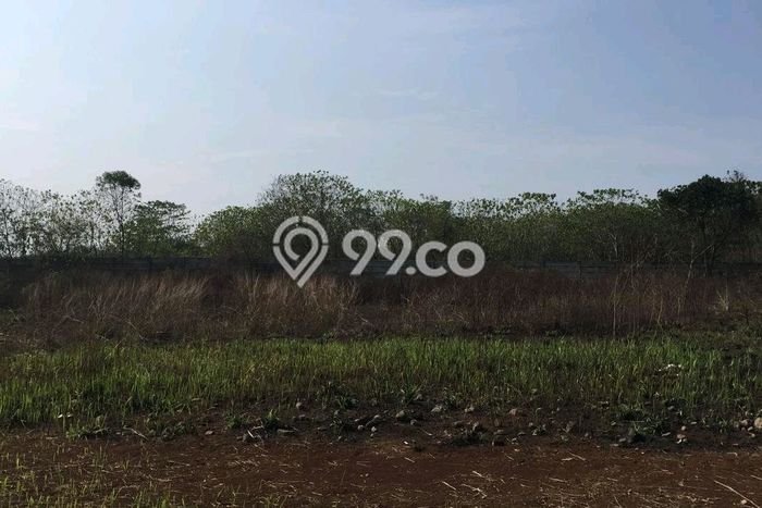 Dijual Tanah di Pamulang Tangerang Selatan Luas 4500m2 AJB Dijual Tanah di Pamulang Tangerang Selatan Luas 4500m2 AJB