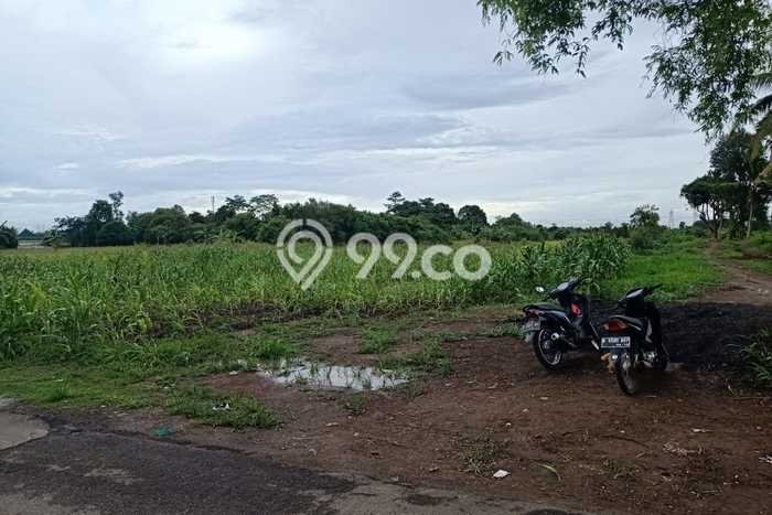 Lahan untuk Dijual di Serang Serang Luas 300000m2 Lahan untuk Dijual di Serang Serang Luas 300000m2