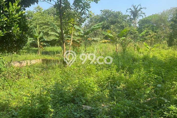 Tanah Dijual Lokasi Strategis di Jakarta Utara dengan Luas 140000m2 Tanah Dijual Lokasi Strategis di Jakarta Utara dengan Luas 140000m2