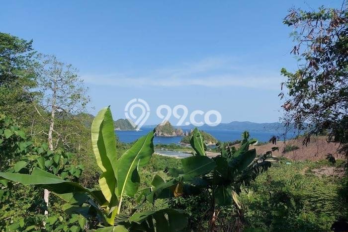 Tanah Dijual Lokasi Metro Kibang, Lampung Timur Luas 250000m2 Legalitas Aman Tanah Dijual Lokasi Metro Kibang, Lampung Timur Luas 250000m2 Legalitas Aman