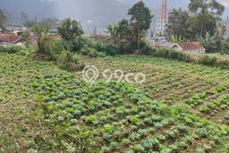 Tanah Dijual Lokasi Ciwidey, Bandung Luas 13500m2 Legalitas Aman Tanah Dijual Lokasi Ciwidey, Bandung Luas 13500m2 Legalitas Aman