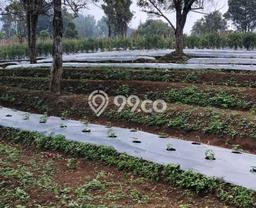 Tanah untuk Dijual Lokasi Cimalaka, Sumedang Luas 12520m2 SHM Tanah untuk Dijual Lokasi Cimalaka, Sumedang Luas 12520m2 SHM