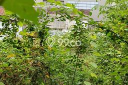 Dijual Tanah 460m2 di Petojo, Jakarta Pusat Dijual Tanah 460m2 di Petojo, Jakarta Pusat