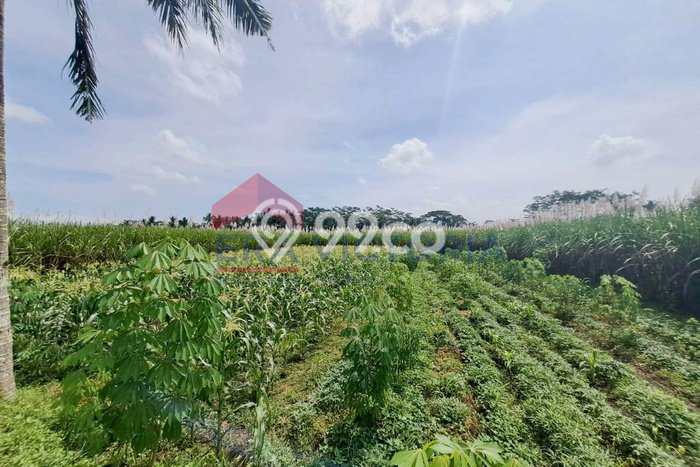 Lahan Kosong Dijual di Malang dengan Area 1152m2 Lahan Kosong Dijual di Malang dengan Area 1152m2