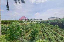 Lahan Kosong Dijual di Malang dengan Area 1152m2 Lahan Kosong Dijual di Malang dengan Area 1152m2