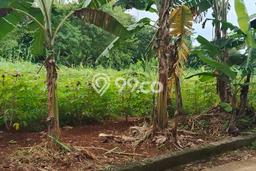 Dijual Tanah di Parung Bogor Luas 2000m2 - Dijual Tanah di Parung Bogor Luas 2000m2 -