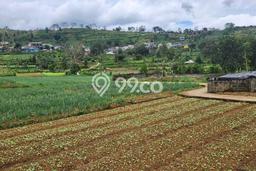 Tanah di Cipanas, Cianjur Luas 15500m2 Dijual Segera Tanah di Cipanas, Cianjur Luas 15500m2 Dijual Segera