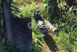 Lahan Kosong Dijual di Bogor dengan Area 13030m2 Lahan Kosong Dijual di Bogor dengan Area 13030m2