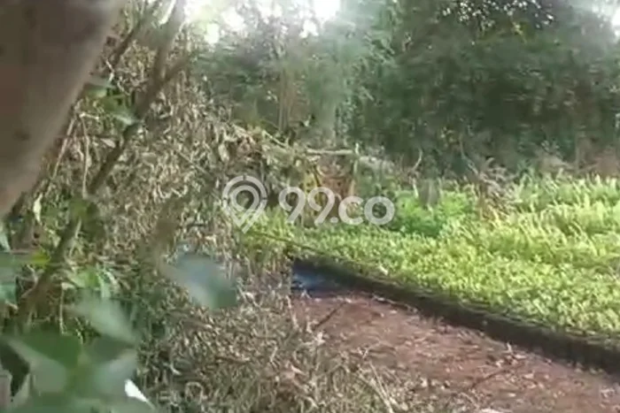 Lahan Strategis di Tigaraksa Dijual dengan Luas 12100m2 Lahan Strategis di Tigaraksa Dijual dengan Luas 12100m2