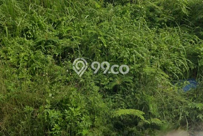 Tanah Kavling Dijual di Bogor dengan Spesifikasi 9000m2 Tanah Kavling Dijual di Bogor dengan Spesifikasi 9000m2