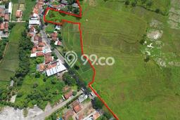 Jarang Ada! Tanah di Subang Punya Luas 100000m2 SHM Jarang Ada! Tanah di Subang Punya Luas 100000m2 SHM