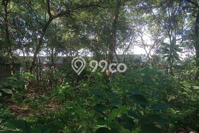 Kavling Tanah di Karawang Timur Dijual Luas 1216m2 Legalitas SHM Kavling Tanah di Karawang Timur Dijual Luas 1216m2 Legalitas SHM