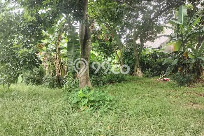 Tanah Kavling Dijual di Jatiwarna, Bekasi dengan Luas Tanah 888m2 Tanah Kavling Dijual di Jatiwarna, Bekasi dengan Luas Tanah 888m2