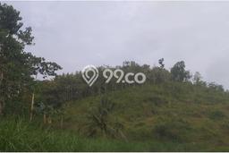 Tanah Dijual Lokasi Pracimantoro, Wonogiri Luas 19000m2 Legalitas Aman Tanah Dijual Lokasi Pracimantoro, Wonogiri Luas 19000m2 Legalitas Aman
