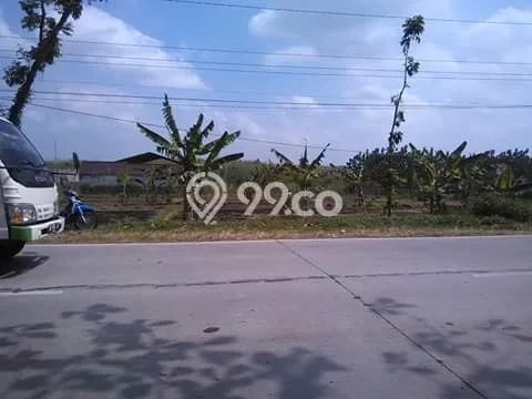Dijual Tanah di Miri Sragen Luas 1545m2 SHM Dijual Tanah di Miri Sragen Luas 1545m2 SHM