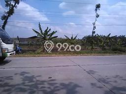 Dijual Tanah di Miri Sragen Luas 1545m2 SHM Dijual Tanah di Miri Sragen Luas 1545m2 SHM