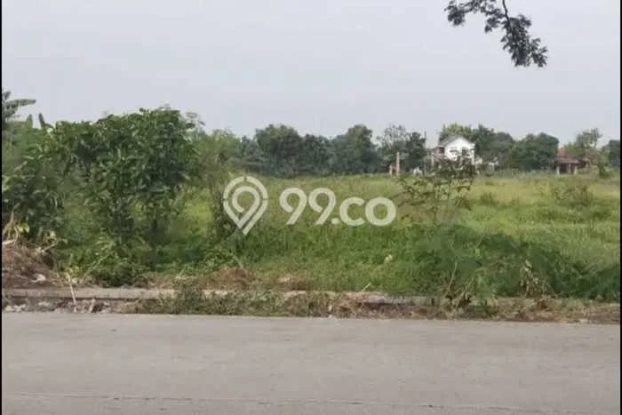 Kavling Tanah Dijual di Wonosari Klaten Spesifikasi 1952m2 Kavling Tanah Dijual di Wonosari Klaten Spesifikasi 1952m2