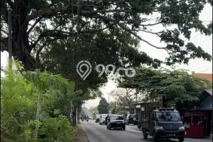 Kavling Tanah Dijual di Wonosari Klaten Spesifikasi 1952m2 Kavling Tanah Dijual di Wonosari Klaten Spesifikasi 1952m2