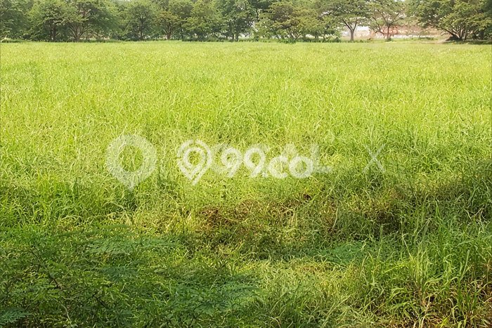 Tanah Kosong Dijual di Jakarta Utara dengan Area 250m2 Tanah Kosong Dijual di Jakarta Utara dengan Area 250m2