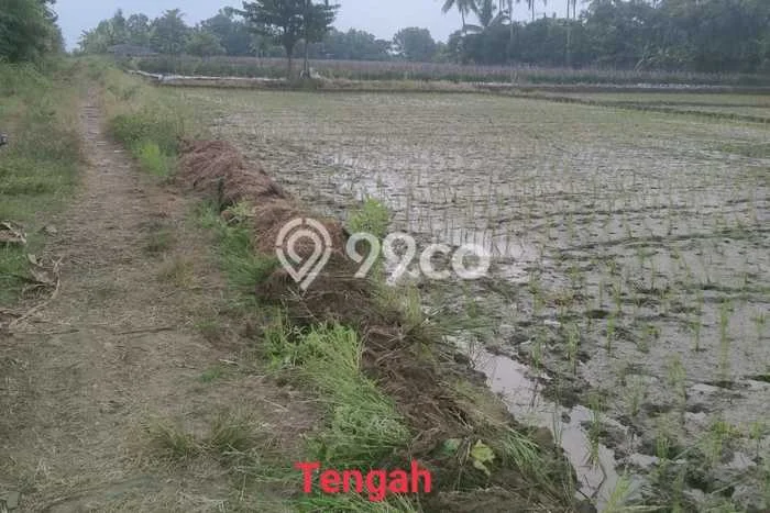 Kavling Tanah untuk Dijual di Tanjung Lesung, Pandeglang, Luas 15000m2 Kavling Tanah untuk Dijual di Tanjung Lesung, Pandeglang, Luas 15000m2