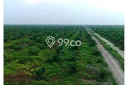 Best Deal Hunian Mewah Ideal dan Luas di Dumai Barat, Dumai Best Deal Hunian Mewah Ideal dan Luas di Dumai Barat, Dumai