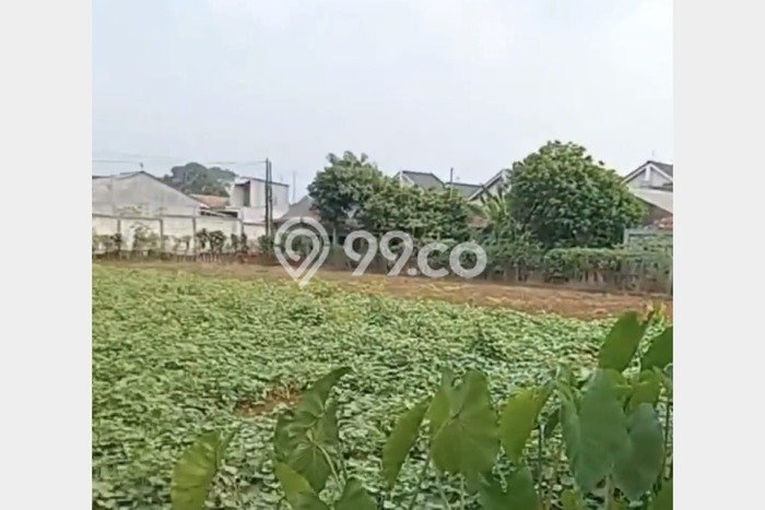 Tanah Dijual Area Strategis di Bubulak Bogor 1285m2 Tanah Dijual Area Strategis di Bubulak Bogor 1285m2