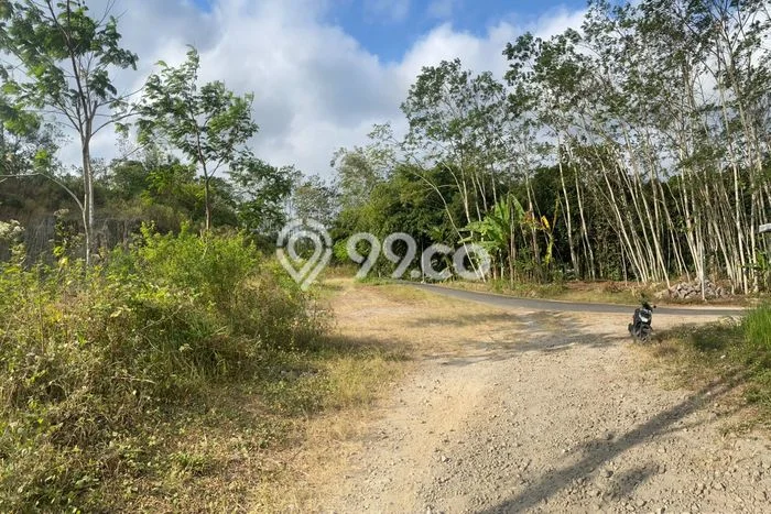 Tanah Strategis Dijual di Kedu Temanggung 7288m2 Tanah Strategis Dijual di Kedu Temanggung 7288m2