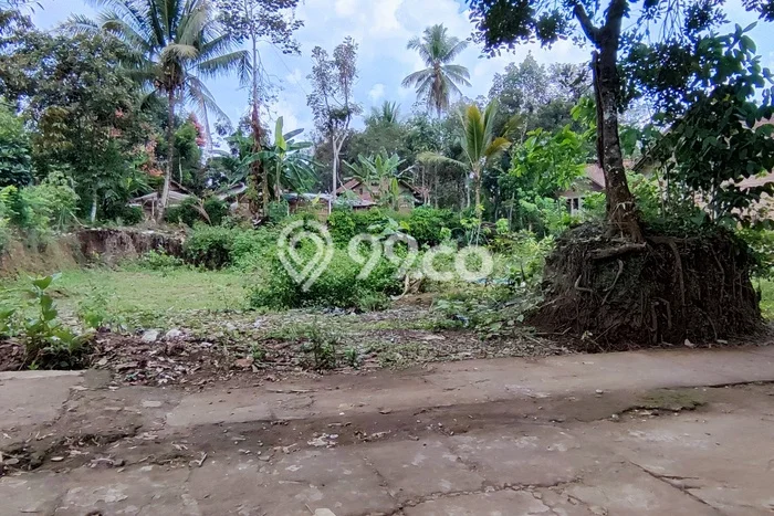 Tanah Dijual Lokasi Borobudur Magelang SHM Tanah Dijual Lokasi Borobudur Magelang SHM