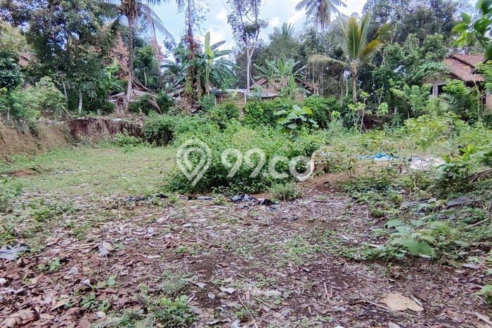 Tanah Dijual Lokasi Borobudur Magelang SHM Tanah Dijual Lokasi Borobudur Magelang SHM
