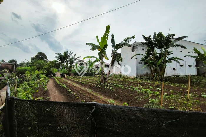 Tanah Kavling untuk Dijual di Mertoyudan Magelang 750m2 Tanah Kavling untuk Dijual di Mertoyudan Magelang 750m2
