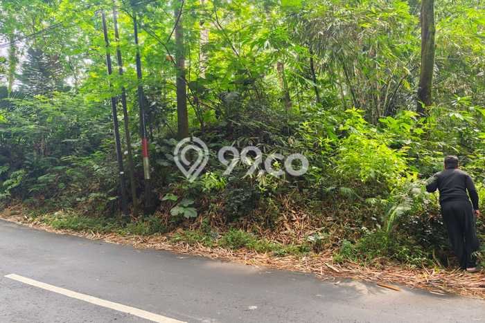 Tanah Kavling untuk Dijual di Tegalrejo Magelang 14500m2 Tanah Kavling untuk Dijual di Tegalrejo Magelang 14500m2
