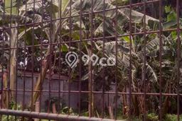 Jarang Ada! Tanah di Jatisampurna Punya Luas 6000m2 SHM Jarang Ada! Tanah di Jatisampurna Punya Luas 6000m2 SHM