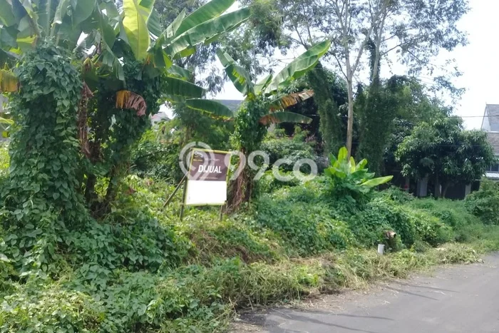 Tanah Strategis Dijual di Taktakan Serang 199m2 Tanah Strategis Dijual di Taktakan Serang 199m2